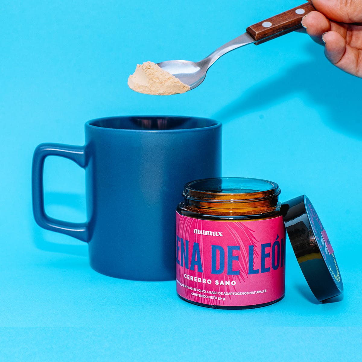 Melena de León Tarro 50g Polvo